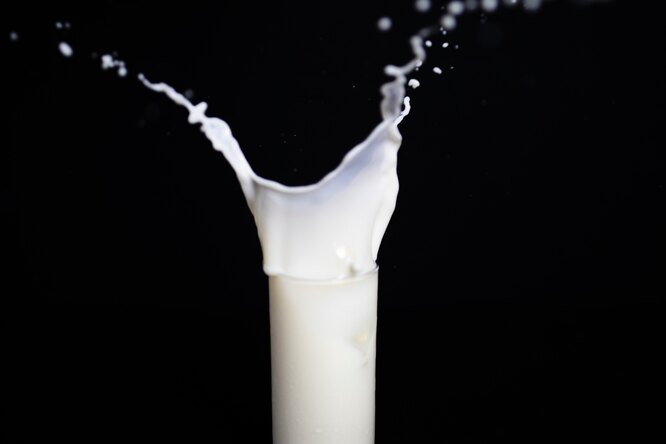 Россиян предупредили о росте цен на молоко из-за жары