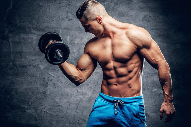 Почему мышечная масса уменьшается?