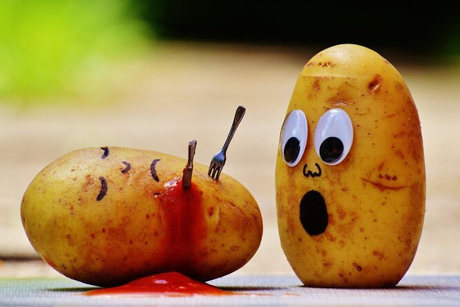 Любимый продукт: можно ли похудеть, питаясь только картошкой или только бананами? Любимый продукт: можно ли похудеть, питаясь только картошкой или только бананами?