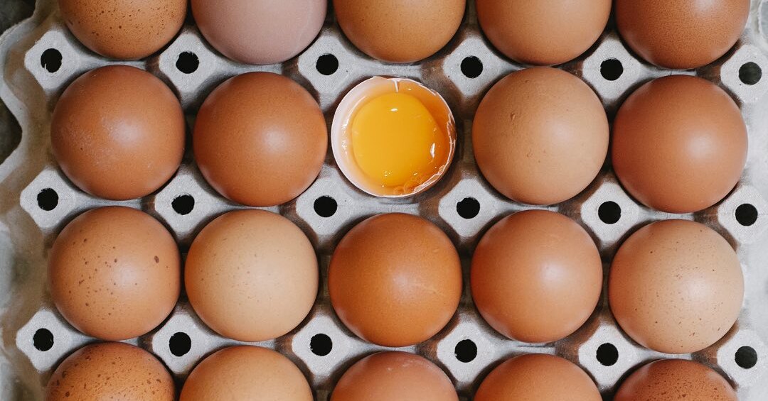 ������ ������������ ����-���: ����.