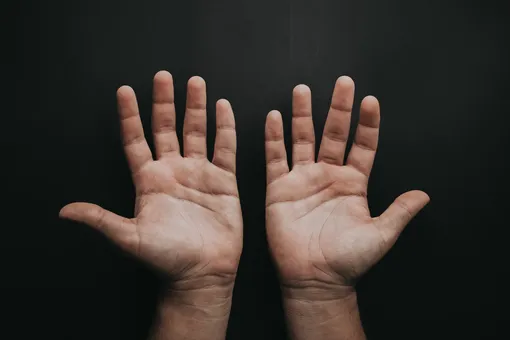 Почему пальцы человека разной длины?