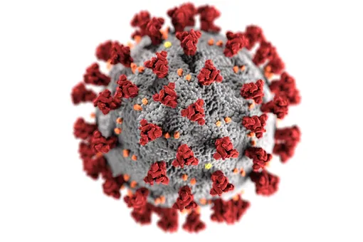В США оценили опасность йота-штамма коронавируса