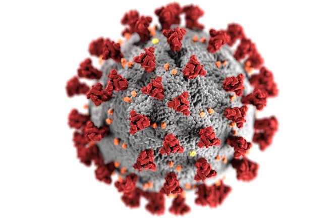 В США оценили опасность йота-штамма коронавируса