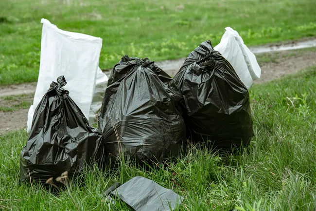 Дачников предупредили о штрафах за мусор: сколько придется заплатить за неубранный участок