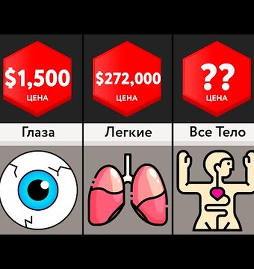 Нажми и смотри