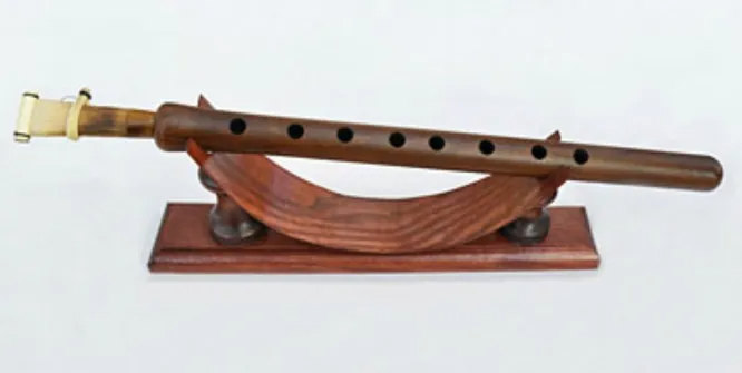 Дудук   язычковый деревянный духовой инструмент, распространённый среди народов Кавказа и Ближнего Востока. В 2005 году музыка армянского дудука была признана шедевром Всемирного нематериального культурного наследия ЮНЕСКО. 