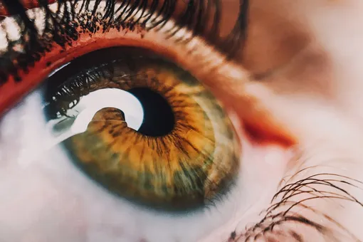 Ваши глаза в опасности: что делать, чтобы зрение не подводило?
