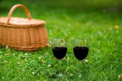 Какая температура должна быть у вина и как выбрать алкоголь для пикника