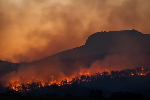 Лесные пожары в Турции добрались до отелей: что известно на данный момент?