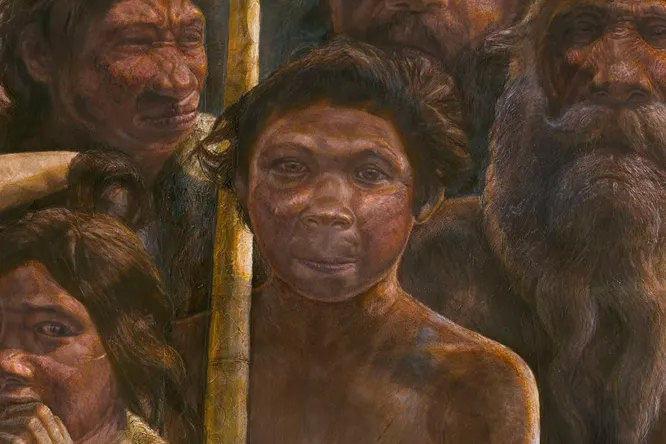 В чем отличие между Homo sapiens и денисовским человеком? В чем отличие между Homo sapiens и денисовским человеком?