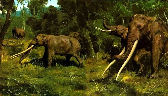 Мастодонты вымершие хоботные, отличающиеся от слонов и мамонтов строением зубов и внешним видом. По одной из версий, причиной их вымирания около 10 тысяч лет назад был туберкулёз.