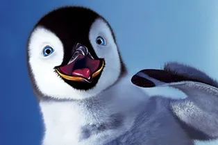 20 интересных фактов о пингвинах