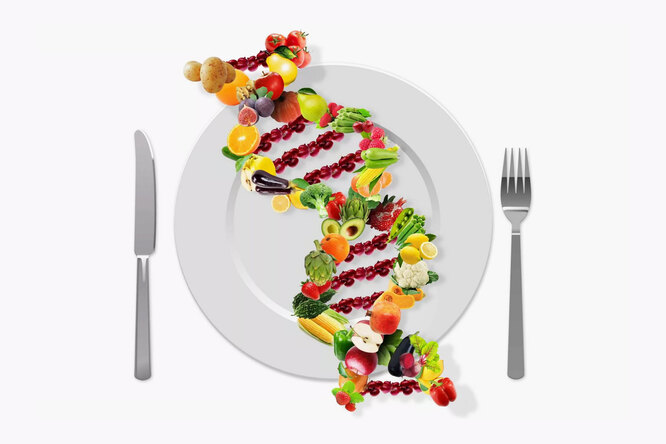 Как еда изменяет гены: мнение ученых