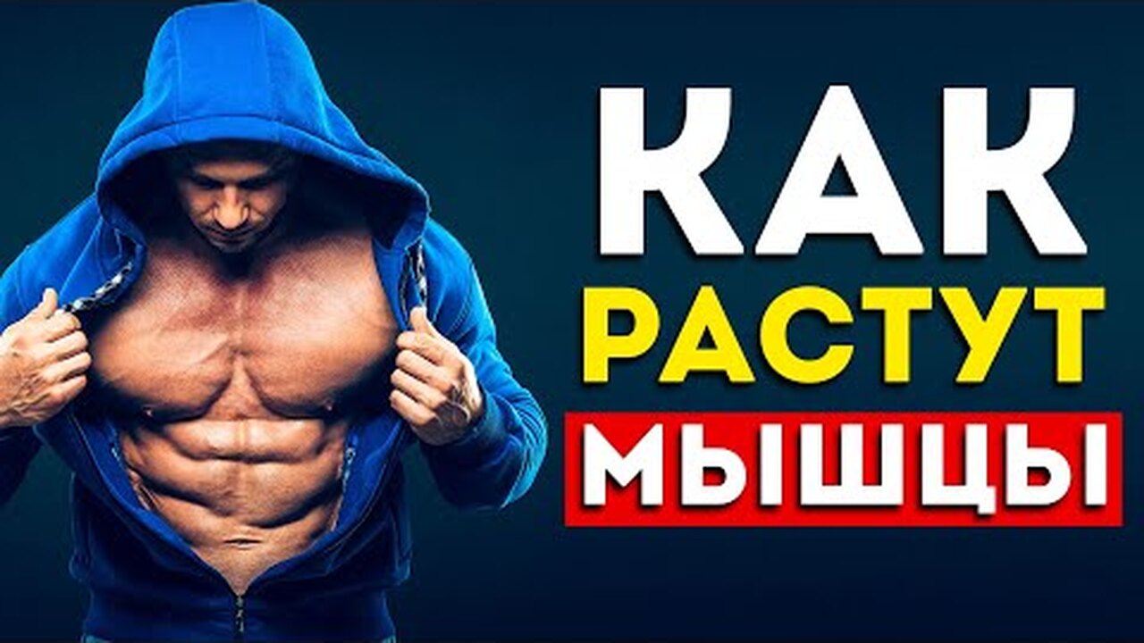 Как накачать мышцы быстро и правильно: простые правила для наращивания мышечной массы