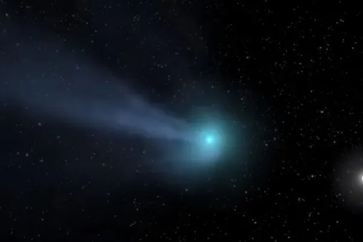 Правда ли, что кометы бывают ядовитыми