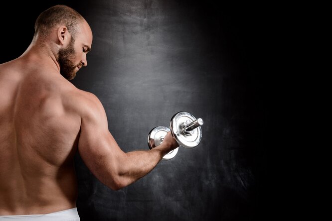 4 основных принципа набора мышечной массы: узнайте, как быстрее накачаться