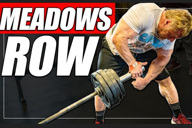 ������� �������: ����.