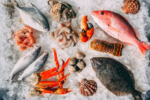 Как морепродукты помогают продлить жизнь на 20%: исследование ученых