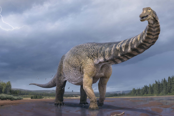 В Австралии обнаружили останки крупнейшего динозавра на континенте