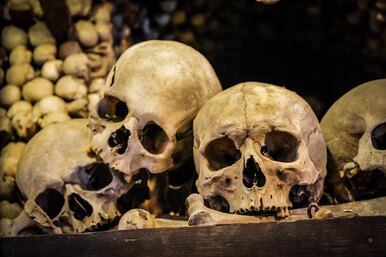 Cамый страшный год за всю историю человечества: почему его так называют?