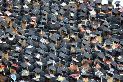 Высшее образование помогает или мешает получить работу мечты?