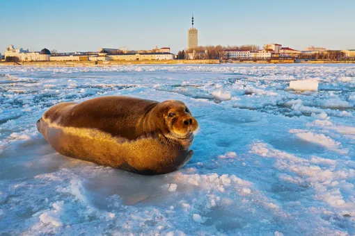 Куда поехать зимой в России: 10 мест, где можно встретить настоящую зиму