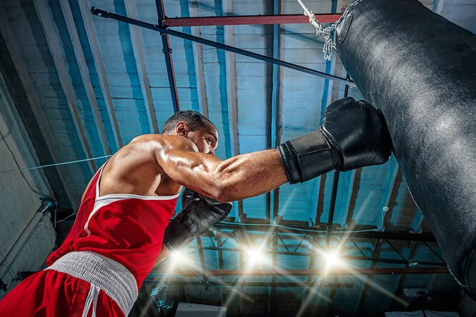 Они помогут прокачать силу удара: 6 лучших боксерских груш для дома