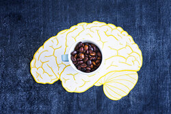 «Это самое... Как там его...»: 7 продуктов для здоровья мозга и хорошей памяти