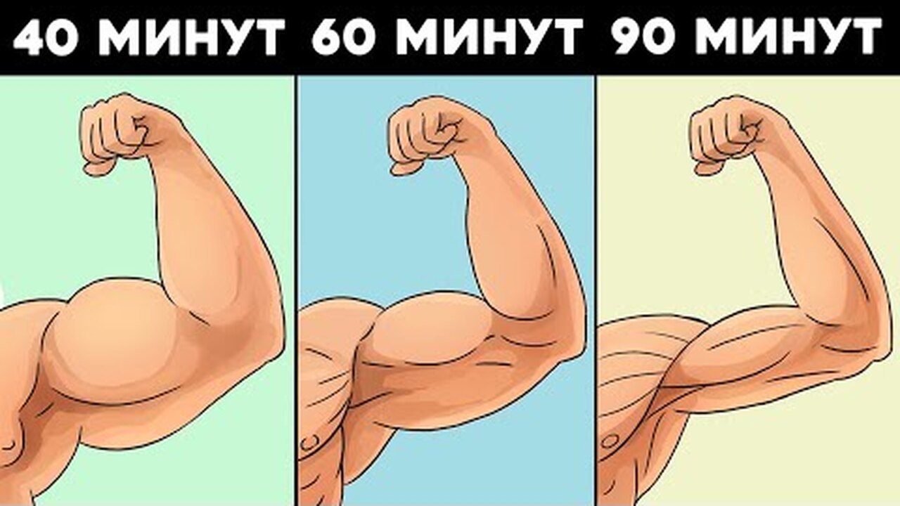 Сколько должна длиться силовая тренировка