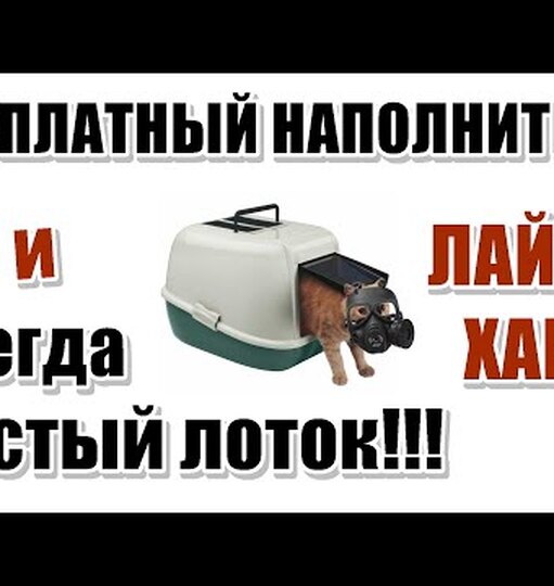 Нажми и смотри