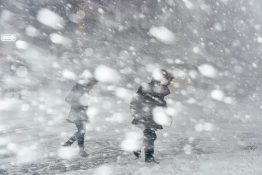 США, Канада и Япония страдают от аномальных снегопадов, убивающих людей: в истории такое не редкость