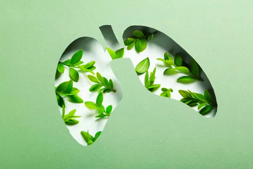 5 растений, которые помогут хорошо сэкономить на очистителе воздуха