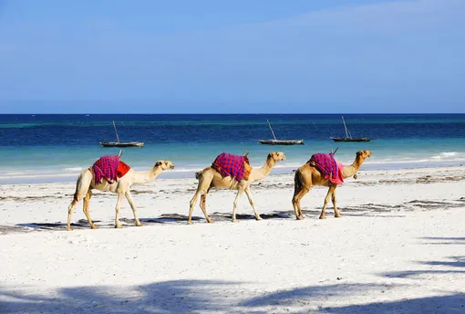 Пляж в Объединенных арабских эмиратах