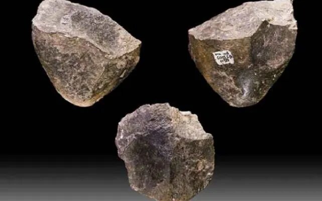 Самые старые из когда-либо найденных инструментов были обнаружены в Гоне, Эфиопия. Археологи оценивают их возраст в 2,5 - 2,6 миллионов лет. Это делает их не только старейшими в мире инструментами, но также старейшими на сегодняшний день артефактами. Похожие скребки для шкур были найдены и в других частях Африки, а их предполагаемый возраст составляет от 2,3 до 2,4 миллионов лет.