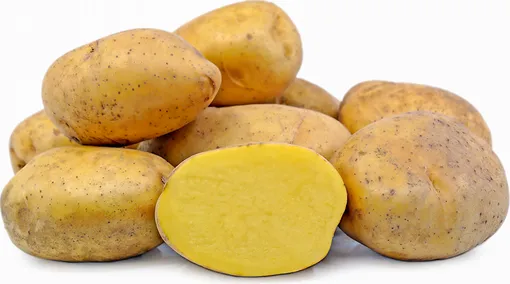 желтая картошка, желтый картофель