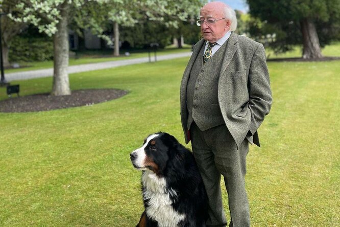 Официальному выступлению президента Ирландии помешал щенок. Он слишком хотел играть