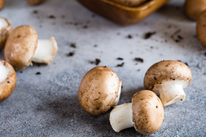 Может ли регулярное употребление грибов защитить от рака? Видео