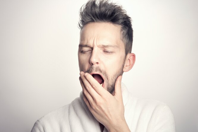 Правда ли, что человек зевает, чтобы охладить мозг?