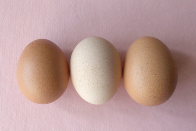 Как правильно варить яйца, чтобы они хорошо чистились?