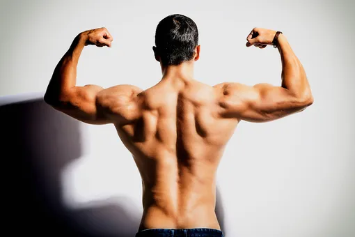 Почему так важно тренировать широчайшие мышцы спины