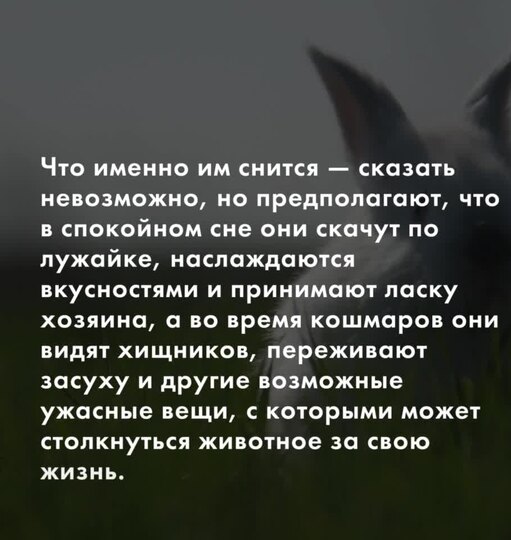 Нажми и смотри