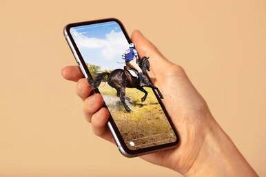 Одна модель iPhone сильно подешевела в России: цена рухнула на 35 процентов, но стоит ли ее покупать?