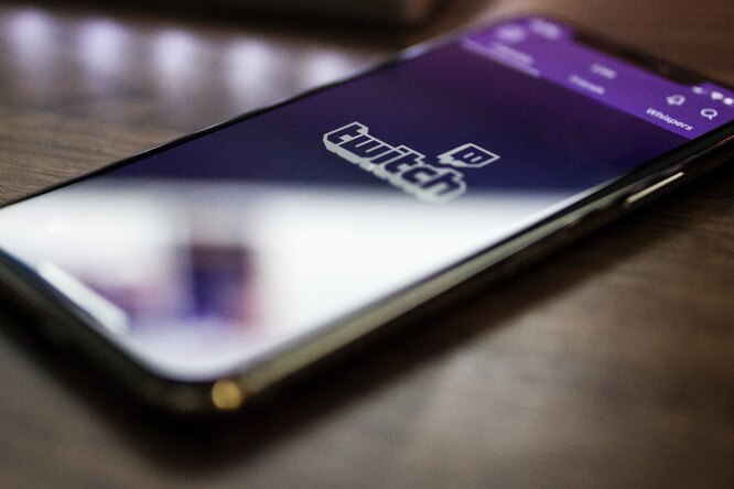 В категории Twitch-стримов с пляжей и из бассейнов второе место заняли ролики с выдрами В категории Twitch-стримов с пляжей и из бассейнов второе место заняли ролики с выдрами