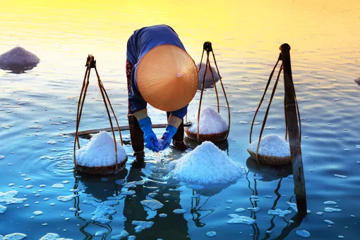 Морская, гималайская, кошерная, кельтская: действительно ли полезны эти виды соли?
