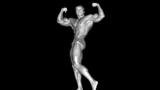 Параметры чемпиона Мистер Олимпия Арнольда Шварценеггера: рост 188 сантиметров, вес 107 килограммов, объем бицепса 56 сантиметров.