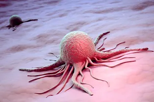 Почему так тяжело победить раковые клетки?