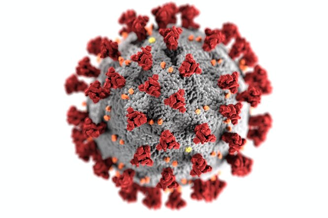 В Великобритании обнаружили новый штамм коронавируса