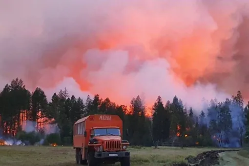 Почему так сложно тушить лесные пожары?