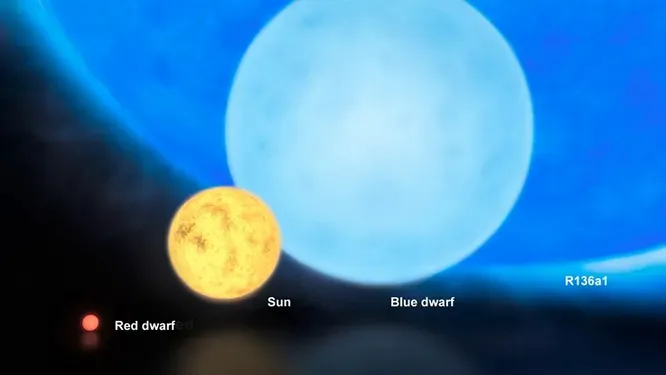 Звезда R136a1 в 256 раз тяжелее Солнца и ярче него в 7,4 млн раз. Ученые считают, что колоссы такого размера могут появиться в результате слияния множества более мелких звезд. Продолжительность жизни огненной химеры - всего лишь несколько миллионов лет, после чего ее составляющие выгорают.