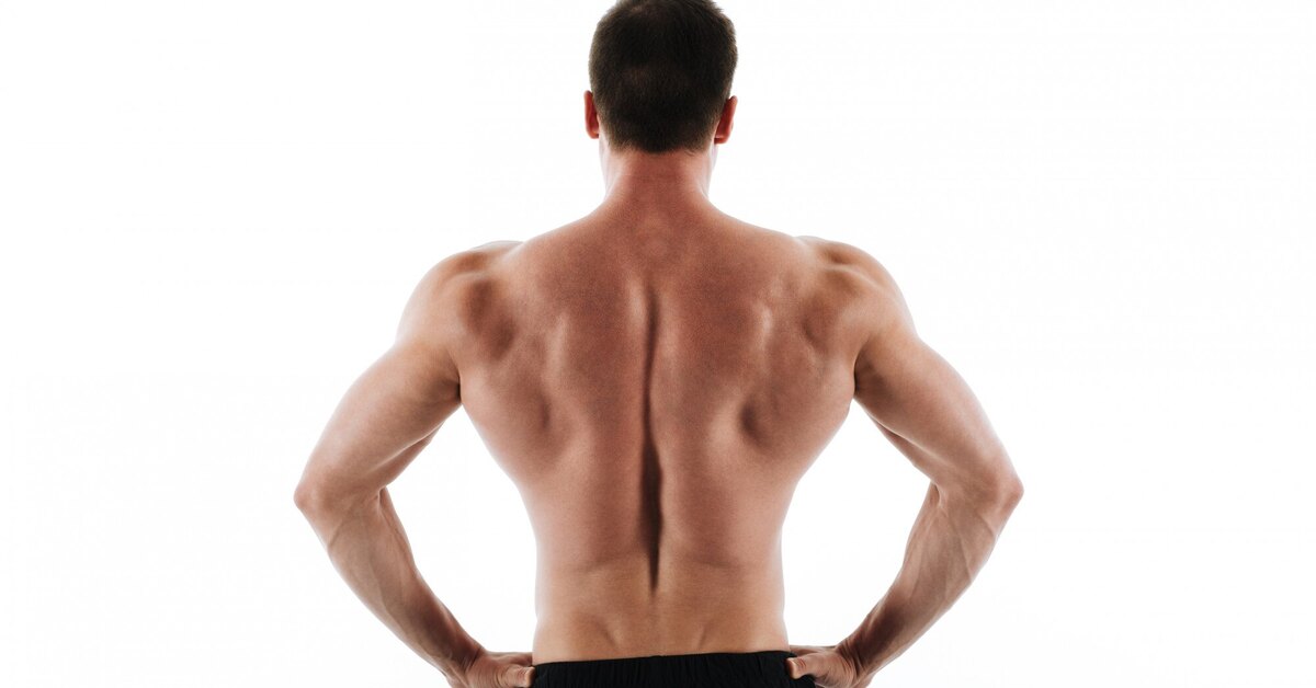 Главная ошибка, из-за которой не получается прокачать трапецию